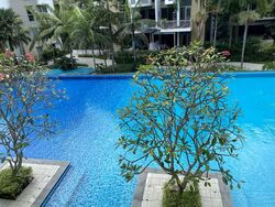 Terrasse (D19), Condominium #610554341